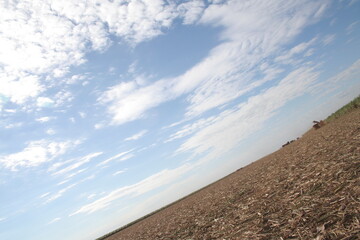 CANA-DE-A&Ccedil;&Uacute;CAR