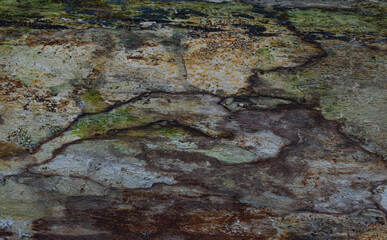 Abstract rough wood pattern for background