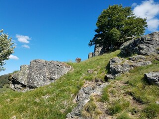 Tolle Felsen beim Wandern im Schwarzwald mit blauen Himmel