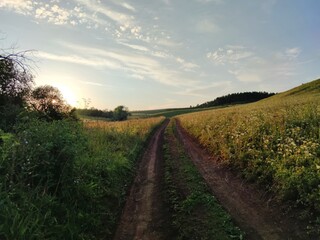 Fototapeta na wymiar country road through a green field at sunset
