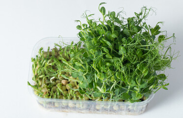 Veganism. Healthy Eating. Microgreen peas in tray.