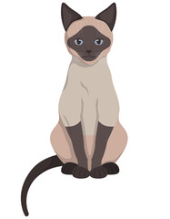 Sitting Siamese cat. Beautiful pet in cartoon style.