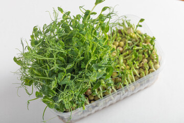 Veganism. Healthy Eating. Microgreen peas in tray.