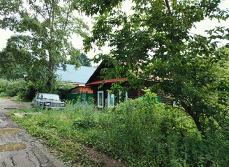 Fototapeta na wymiar wooden house near a dirty street among green grass and trees