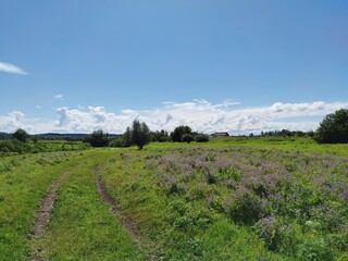 Fototapeta na wymiar blue sky on a sunny day over a green field