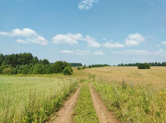 country road in a field near the forest against a blue sky on a summer sunny day