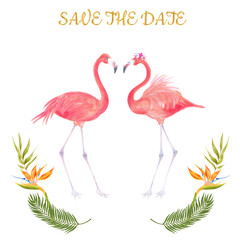 Watercolor template for wedding invintation with illustration of pink flamingo bird with tropical background of palms and leaves and flowers