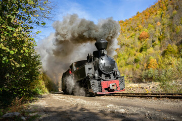 Fototapeta na wymiar Autumn steam train from Romania - Mocanita Maramures 