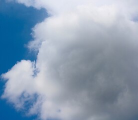 Obraz premium The big fluffy cloud up in the blue sky.