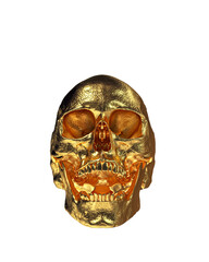 Gold Human Skull  Isolated on White Background