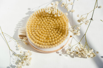 dry massage brush with natural bristle , ecolgoical cosmetics 