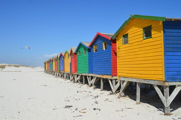 Naklejka premium Colorful beach huts on Muizenberg beach in Cape Town South Africa