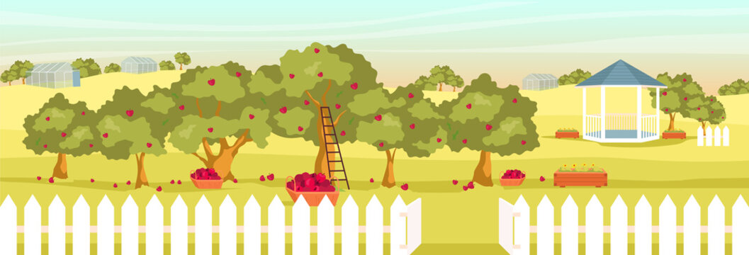 Apple garden flat color vector illustration