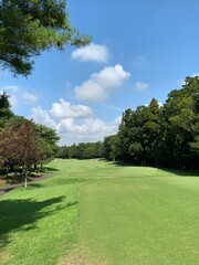 Obraz premium path in the park