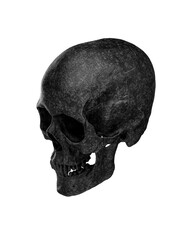 Black Human Skull Isolated on white background