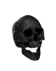 Black Human Skull Isolated on white background