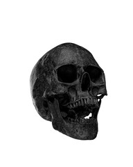 Black Human Skull Isolated on white background