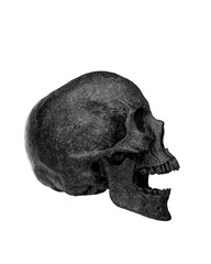 Black Human Skull Isolated on white background