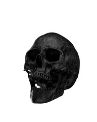 Obraz premium Black Human Skull Isolated on white background