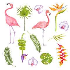 Watercolor illustration of pink flamingo bird with pink orchid, heliconia flowers, strelitzia flower, banana flower. Areca palm, philodendron fern monstera leaf, bamboo leaf. Romantic pink