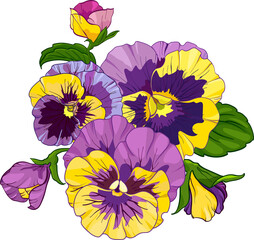 flower arrangement of pansies isolated on a white background. Vector illustration