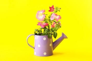 Watering can with flowers on color background