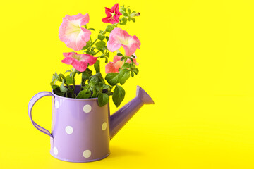 Watering can with flowers on color background