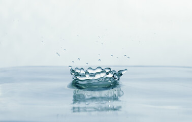 Watercrown crated by a falling drop