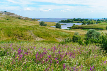 Panorama of the Russian picturesque landscape with hills and flower fields and blue sky with clouds on the background of the sea