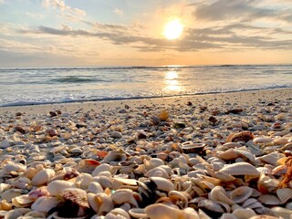 sunset on the beach