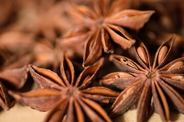 Closeup photo of star anise