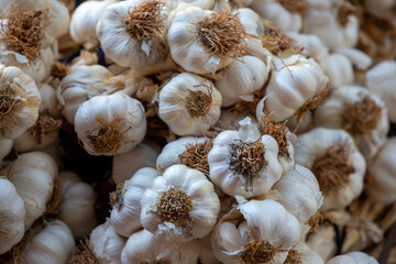 Close up garlic background. Selective focus