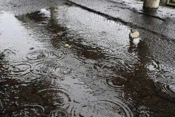 雨の日の水たまり