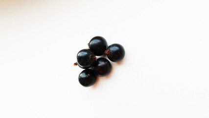 Currant berries on a white background
