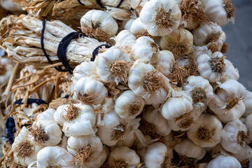 Close up garlic background. Selective focus