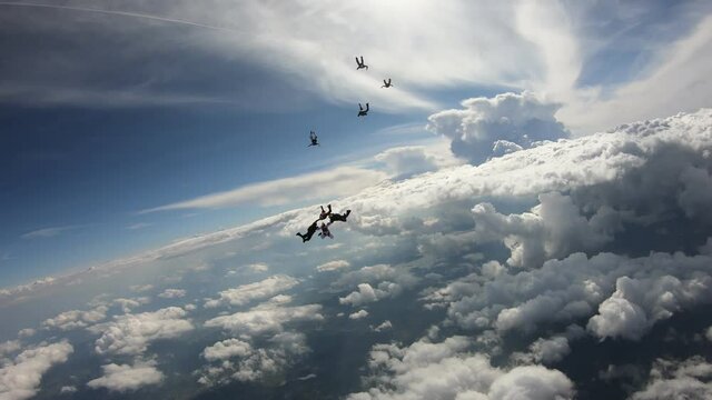 Formation skydiving. A team of skydivers is in the sky.