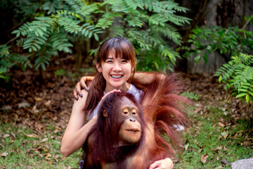 Asian female travelers has braces on are happy to play and hug the wildlife orangutan in the jungle.. © Kridsadar
