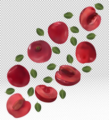 Set of cherries with leaves on transparent background. Motion cherry. Flying cherry are whole and cut in half. Ripe fresh cherry rich in vitamins, natural product. Realistic vector illustration