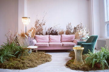 The interior is eco-style.Pink sofa with voluminous pillow. Moss on the floor, cereals, fern,...