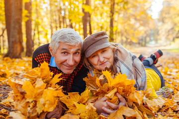 Fall family activities. Senior man and woman lying on heap of leaves in autumn park. People having...