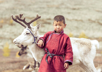 tsaatan boy with a reindeer in a landscape of northern Mongolia