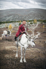 tsaatan boy with his family reindeer in northern Mongolia © katiekk2