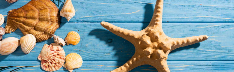 top view of starfish, seashells on wooden blue background, panoramic shot
