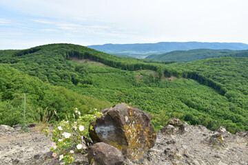 View of the mountains of Lazberc in Hungary