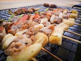 shish kebab on skewers