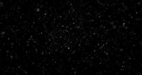 abstract Flying dust particles on a black background 3d rendering - Powered by Adobe