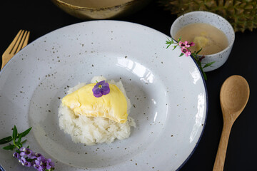 Sticky rice, durian and coconut milk with a sweet taste on a white polka-dot ceramic plate The unique aroma is a very popular dessert in Thailand. Dessert concept
