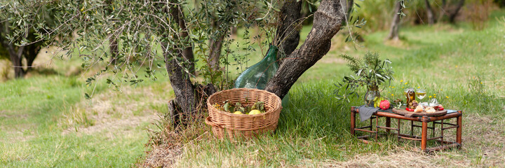 Romantic picnic under olive tree. Delicious italian meal served on a wooden table. Baskets with...