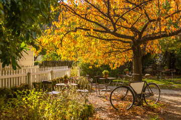 A quaint cafe under autumn colors located in Arrowtown, New Zealand