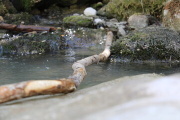 Wooden branch in water with rocks and moss.